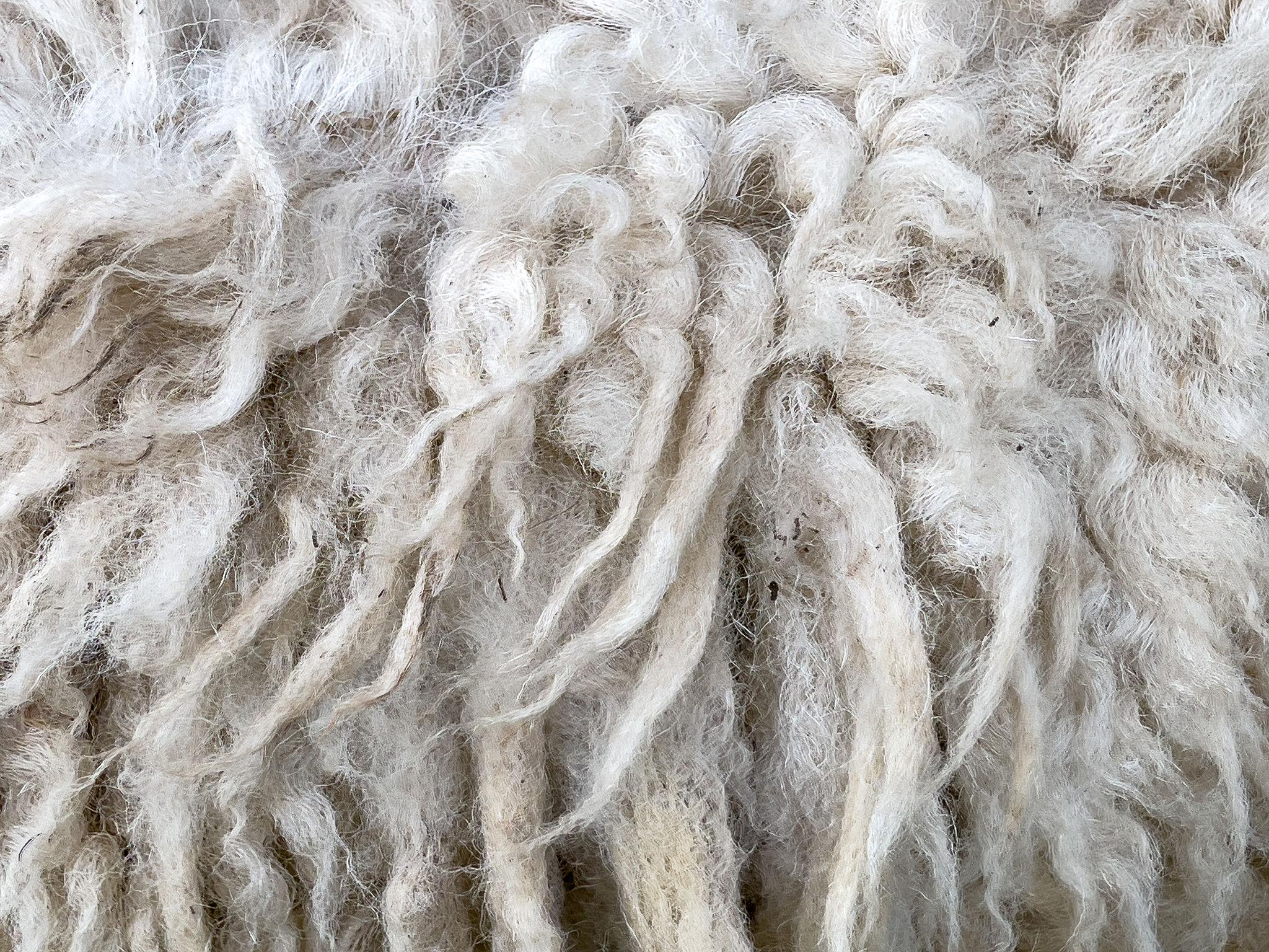 Close-up of natural wool felt texture